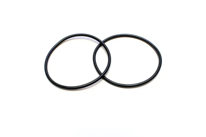 7221050 Dichtungs-Ring 2 St. Pumpe
