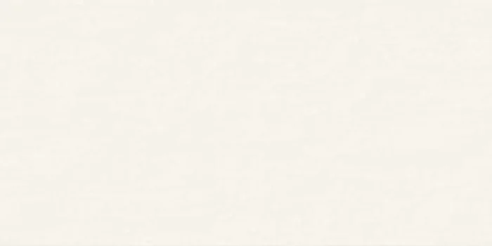 Agrob Buchtal Alcina Weiss Matt Seidenmatt Wandfliese 30×60 Art.-Nr. 203435H