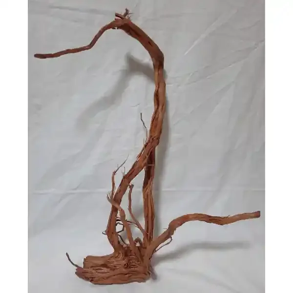 Amtra Drachenwurzel, Dragon Skin L 14