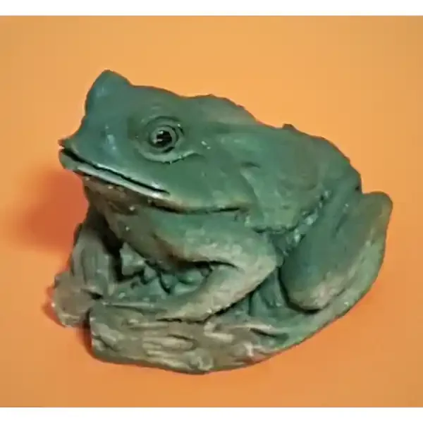 Aqua Decor Deko Frosch