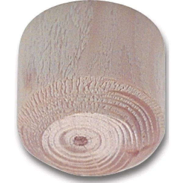 Astdübeln Fichte Durchmesser 15 mm Höhe 9 mm