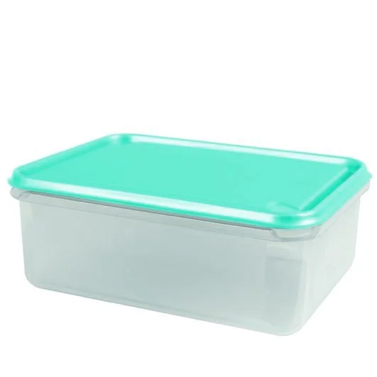 BERIN Frischhaltedose, PP, 17,5x23x8,6 cm, 2 L