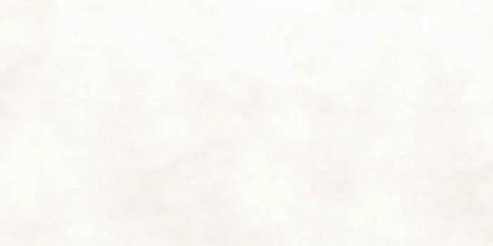 Boizenburg Vienna Beige Matt Wandfliese 30×60 Art.-Nr. 612590WS