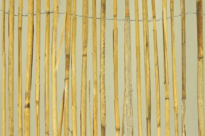 Claytec Schilfrohrgewebe