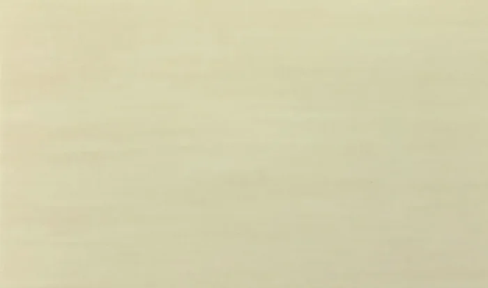 Easy Ceramic Lana Hellbeige Wandfliese 30×50 Art.-Nr. LAN32