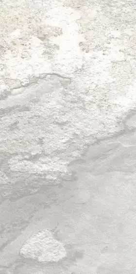 Edimax More Bodenfliese Milk 30×60,5cm