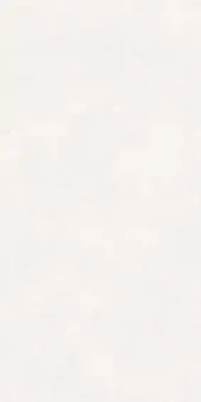 Edimax MyTime Bodenfliese Latte 30x60cm rektifiziert