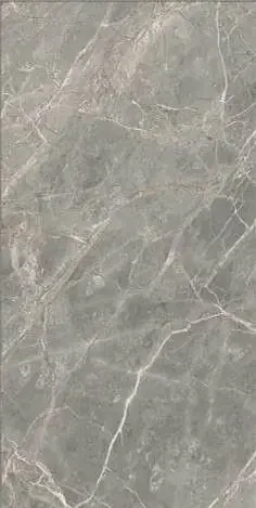 Étoile de Rex 60×120 cm Étoile gris matte