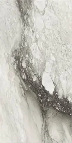 Étoile de Rex 60×120 cm Étoile renoir matte