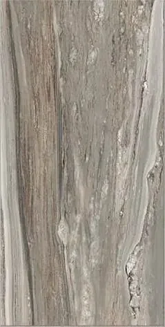 Étoile de Rex 60×120 cm Étoile tropical glossy