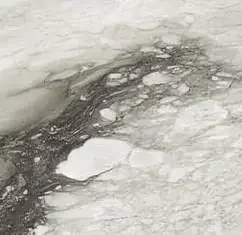 Étoile de Rex 80×80 cm Étoile renoir glossy