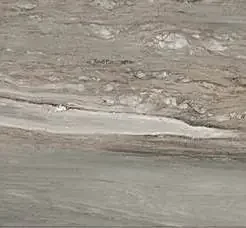 Étoile de Rex 80×80 cm Étoile tropical glossy