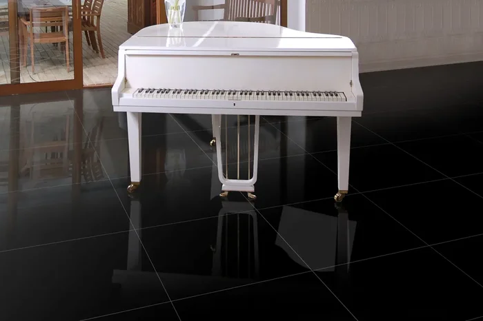 Fliese schwarz glänzend 59×59 cm „Colores Negro Brillo“ für Schwarz-Weiß-Optik