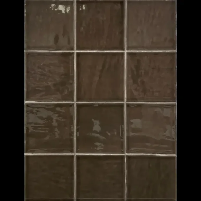 Fliesen in Traditionell-Modern, Typic 10 x 10 cm Glasiert Coffee