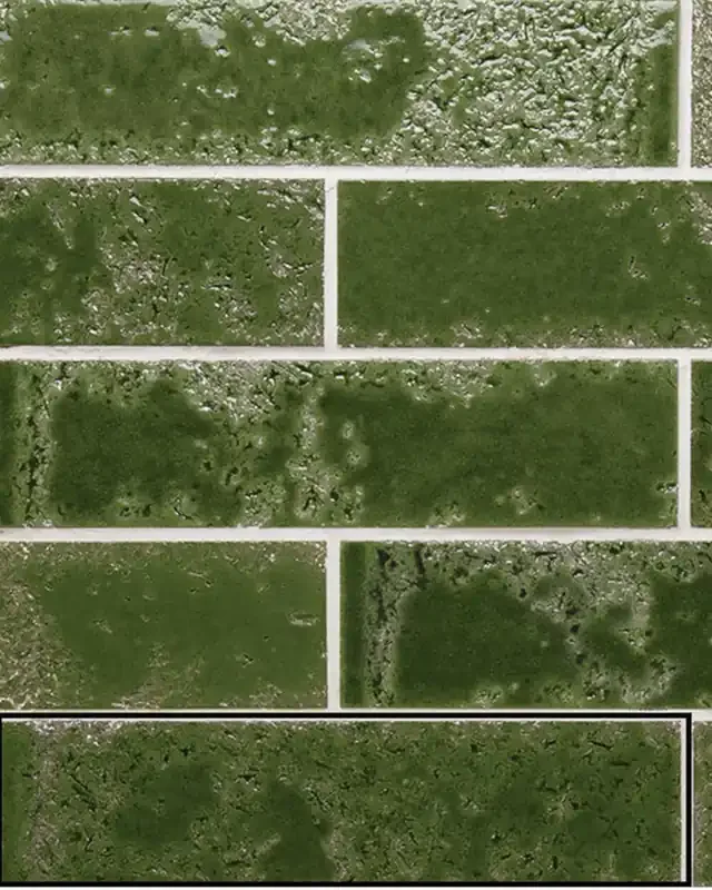 Fliesen Riemchen Grün Rustikal 6,4×26 cm Pukka Crocodile Green