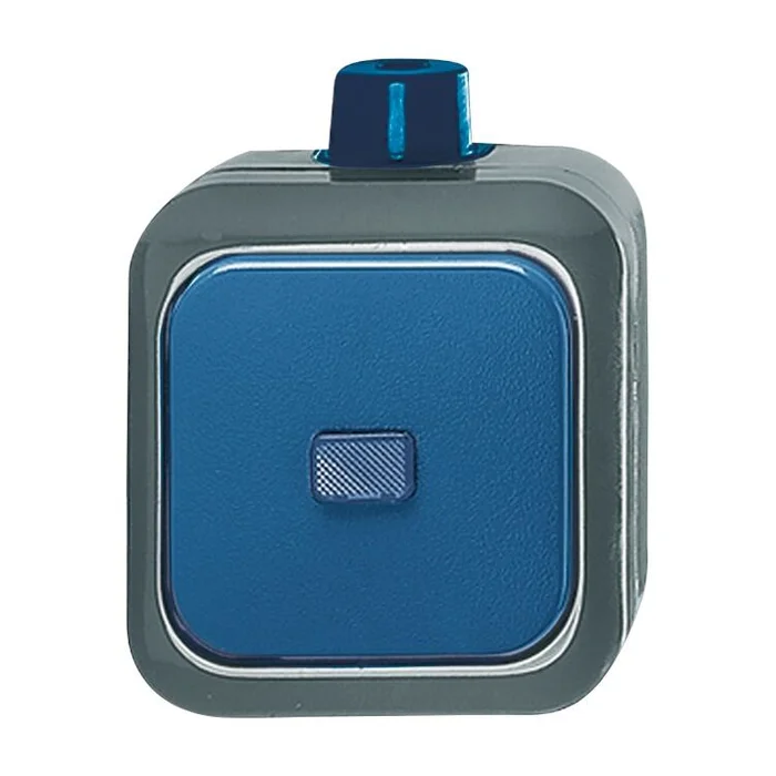 FR AP Aus-/Wechselschalter Duro 2000 WDI, IP66, grau/blau