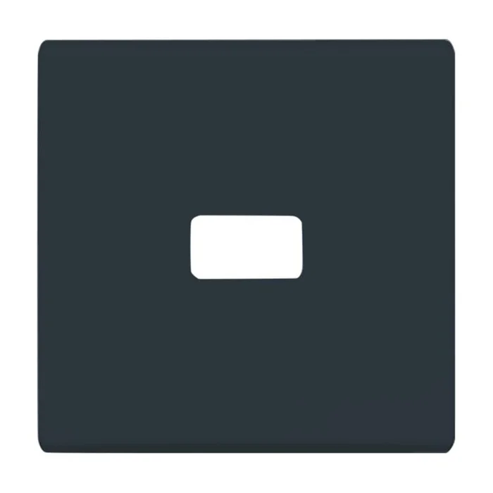 FR UP Wippe offen für Symbole 2622 Allwetter IP44 anthrazit