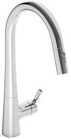 HANSA DESIGNO STYLE Küchenarmatur, 2-strahlig