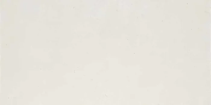 Lasselsberger Base Elfenbein Matt Fliese 30×60/1,0 R9/A Art.-Nr. DAKSE430