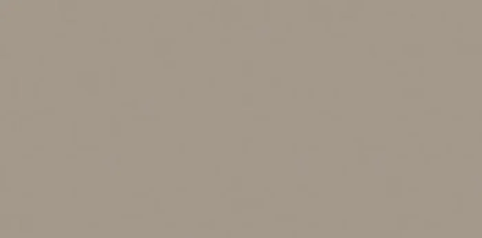 Lasselsberger Color One beige-brown matt RAL0607010 Matt Wandfliese 20×40 Art.-Nr. WAAMB312