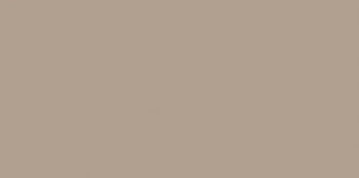 Lasselsberger Color One light beige-brown matt RAL 0607020 Matt Wandfliese 20×40 Art.-Nr. WAAMB311