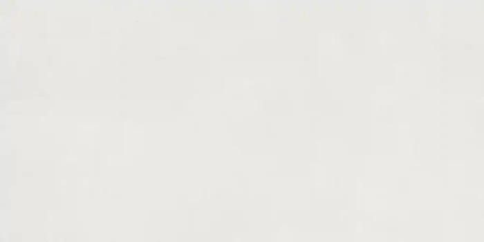 Muster 30×60 cm für Lasselsberger Extra White Bodenfliese 40×80/1,0 R10/B Art.-Nr. SMA100-DAR84722 4080