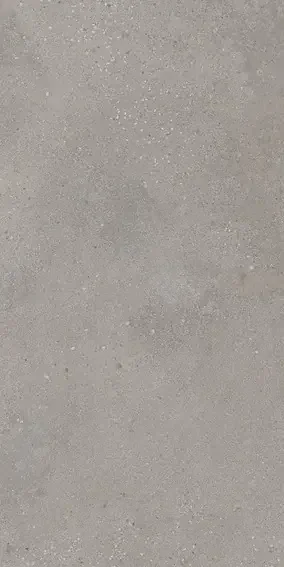 Muster 30×60 cm für Villeroy & Boch Urban Jungle Grau Bodenfliese 30X60/1 R9 Art.-Nr. 2394 TC60