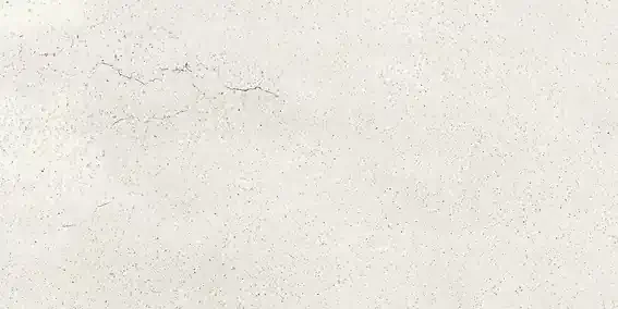 Muster 30×60 cm für Villeroy & Boch Urban Jungle White Grey Wandfliese 30X60/0,91 Art.-Nr. TC00 1581