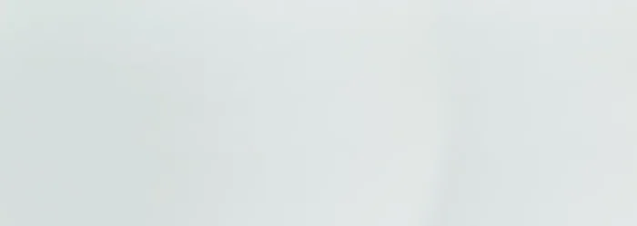 Muster max. 30×60 cm für Steuler Pure White Weiss Wandfliese 25×70 Art.-Nr. 27505