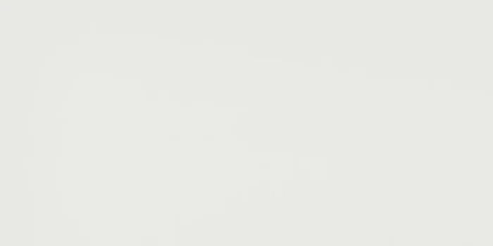 Muster max. 30×60 cm für Steuler Pure White Weiss Wandfliese 30X60/0,6 Art.-Nr. OBC110S-31290 3061