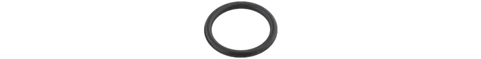 O-Ring 17,3 x 2,4 (2er-Pack)