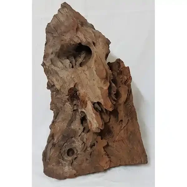 Orbit Mangroven Wurzel L 034