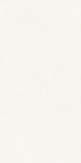 Peronda Terrassenfliese Ghent White 50x100x2cm rektifiziert