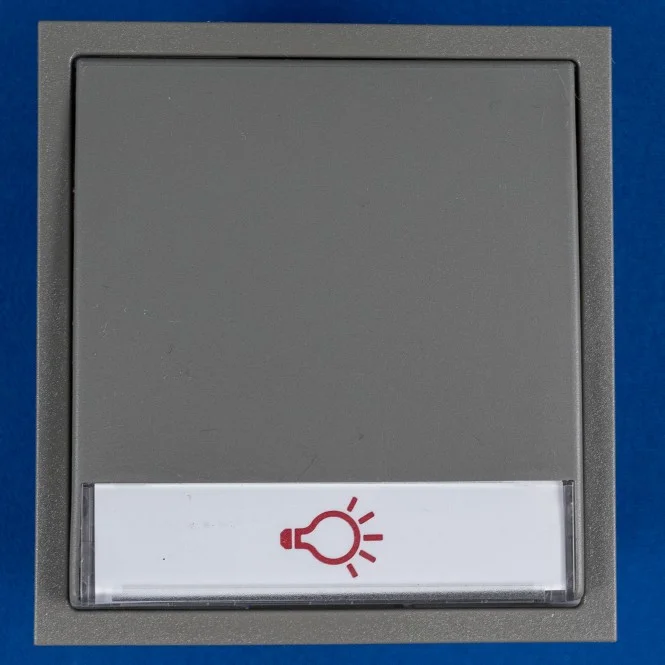 RENZ Tastenmodul 97-9-85273 grau Farb Nr. 7039 mit 1 Lichttaster