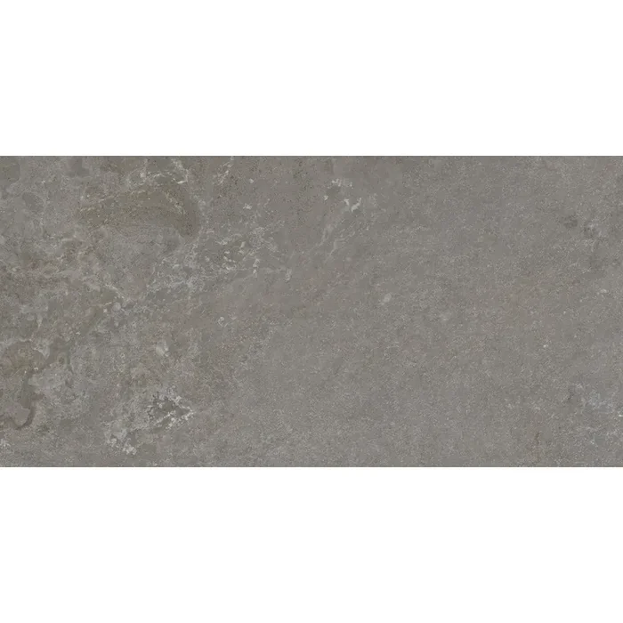 Rid Grey 4031 Feinsteinzeug glasiert, glänzend rektifiziert 60x120x1