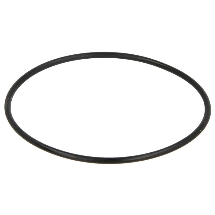 Riello Pumpendeckeldichtung 3007162