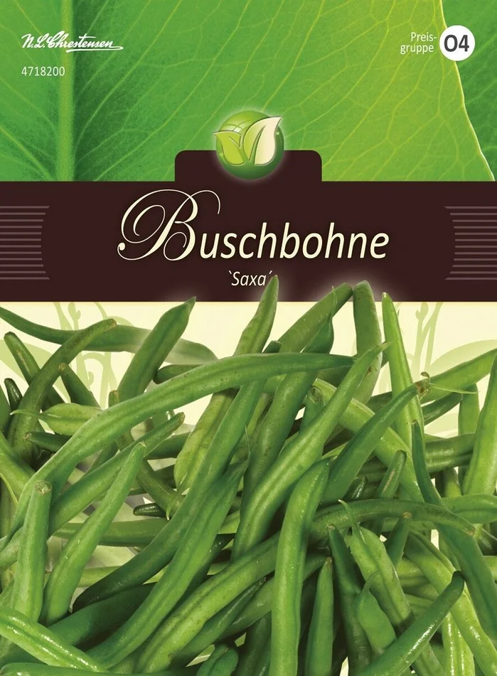 Saatgut Buschbohnen ‚Saxa‘ für 7 lfd. m.