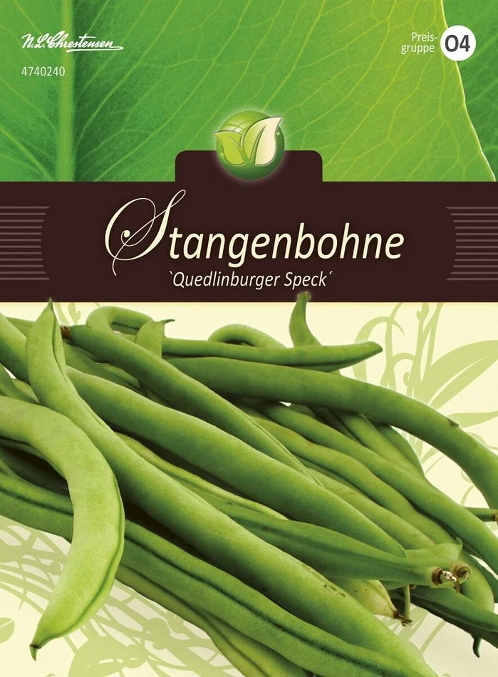 Saatgut Stangenbohnen, Quedlinburger Speck, für 12 Stangen