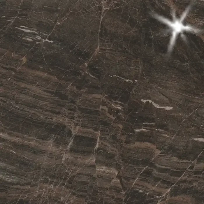 Serenissima Anthology Brown Fliese 60×60/1,0 Art.-Nr. 1042980