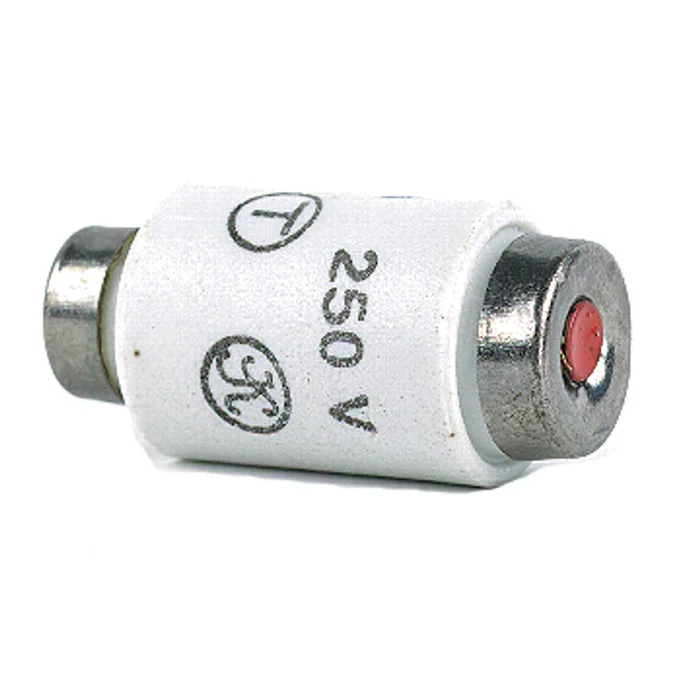 Sicherung 10A Langsam 250V 5St. Kart – 5 FRP