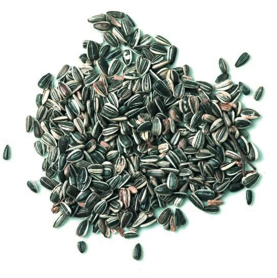 Sonnenblumenkerne, 2,5 kg