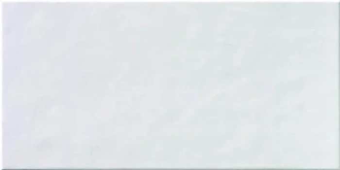 Steuler Albany Weiss Grau Wandfliese 25×50 Art.-Nr. 26435