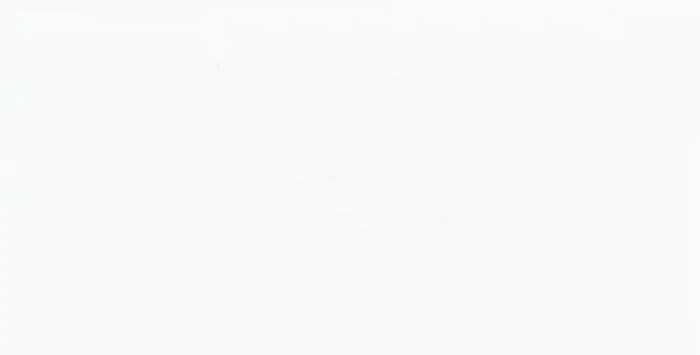 Steuler Paperstone Hellgrau Wandfliese 30X60/1,0 Art.-Nr. 30175