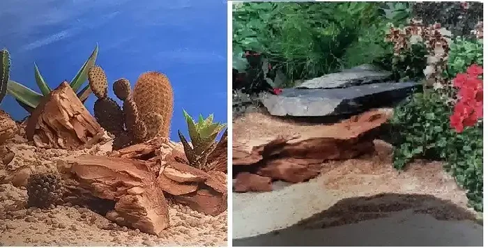 Terrarium Fotorückwand 30222 H=30cm