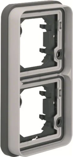W.1 Rahmen 2fach senkrecht für Up-Montage lichtgrau matt