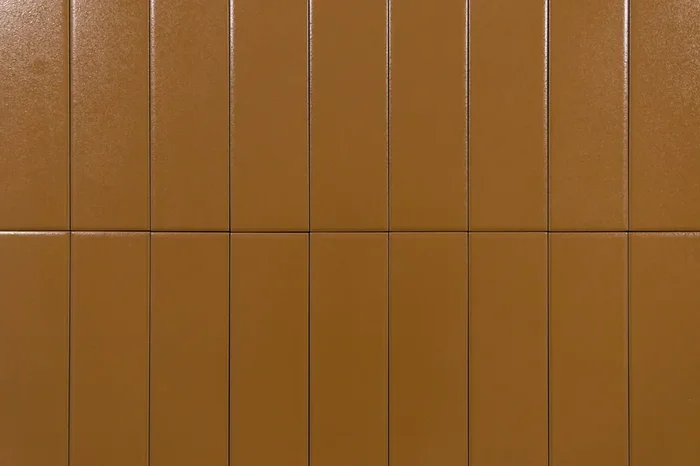 Wandfliese Sand Glanz 6×25