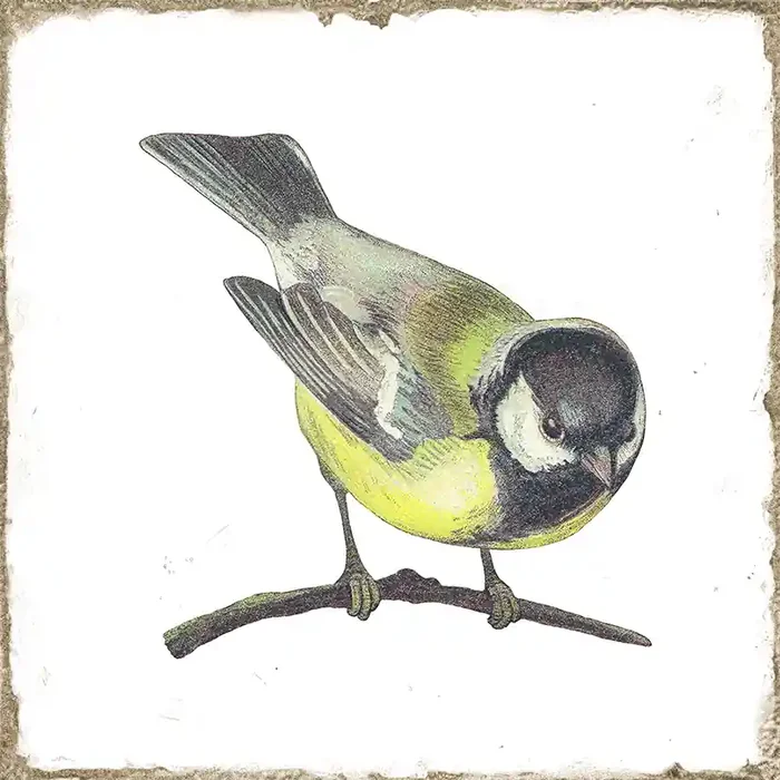 Wandfliese Vogel-Dekor 15×15 cm „Forli Birds“ Kohlmeise Retro glänzend