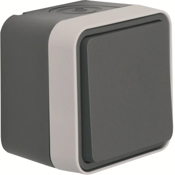 Wechselschalter AP W.1 grau