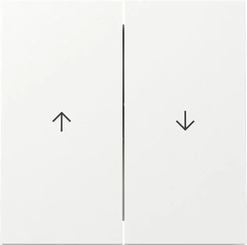 Wippe 2f Pfeil Flächenschalter Reinweiß