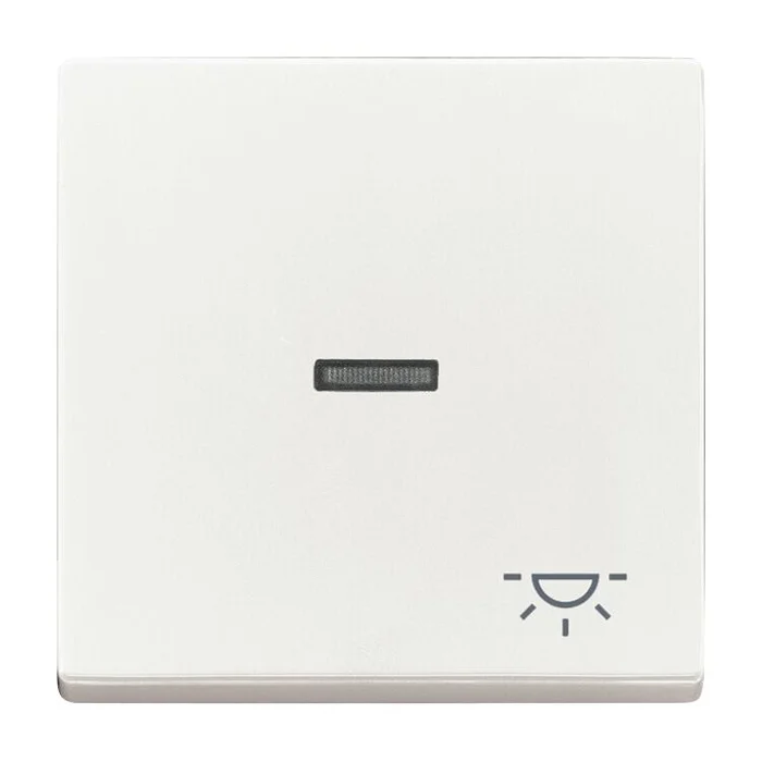 Wippe Kontroll mit Aufdruck Symbol Licht div. Flächenprogramme studioweiß